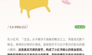 实战案例｜小红书日百行业新锐品牌案例精选